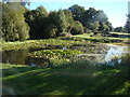 Pond on the edge of Woodford Golf Course