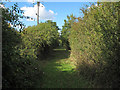 Footpath to Woodham Road