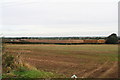 Houses of  straw: cattle pens at South Field Farm