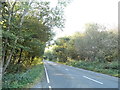 Elstead Road entering Elstead