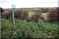 Cross Bucks Way sets off through the undergrowth