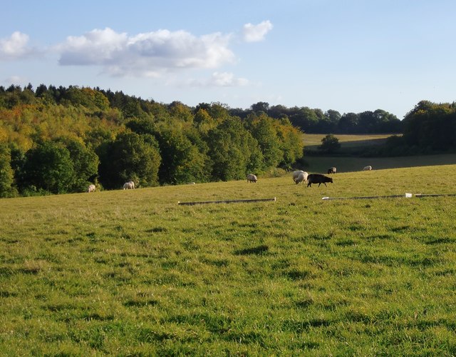 Sheep pasture near Roaringhouse Farm,... © Stefan Czapski :: Geograph ...