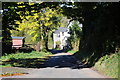 Cottages in a lane