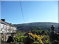 View over Beulah graveyard, Newbridge