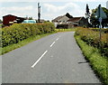 ST4694 : National Cycle Network route 42 near Shirenewton by Jaggery