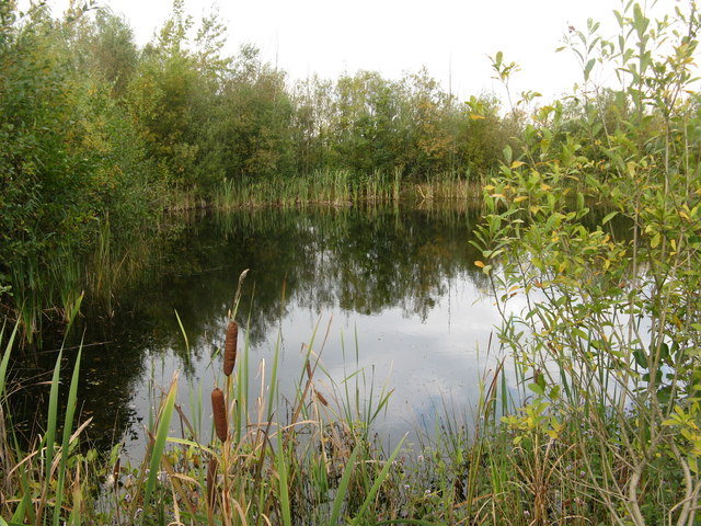 RSPB Old Moor © Dave Pickersgill :: Geograph Britain and Ireland