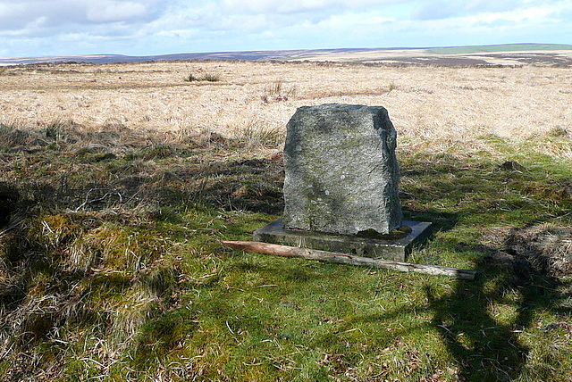 The Cox memorial stone