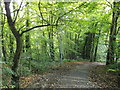 Entrance to Walderslade Woods