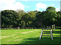 Podkin Meadow, Blue Bell Hill