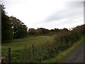 Rough pasture near Dalquhandy