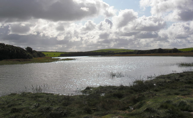 Llanfachraeth grassland