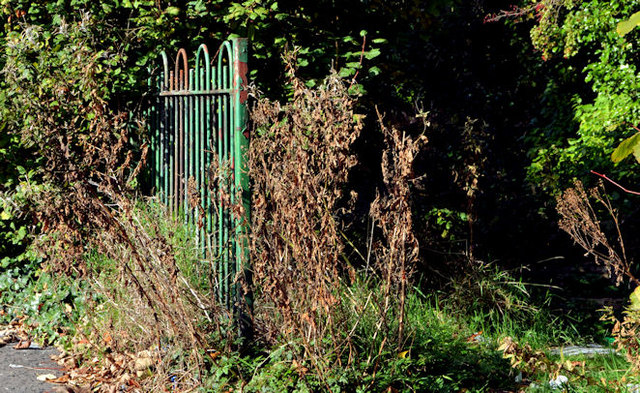 Old Belfast Corporation fence