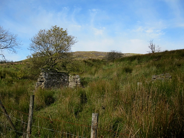 Old Wall and Hill