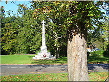 TQ5446 : War memorial on The Green at Leigh by Marathon
