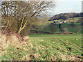 Across the valley to Steel House Farm