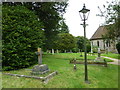 SY5999 : SS Peter & Paul, Cattistock: churchyard (C) by Basher Eyre