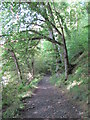 NY8059 : Path by the River Allen at Cupola Banks by Mike Quinn