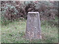 Triangulation Pillar S6935 at Carden Hill