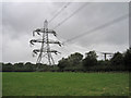 SY3498 : Large pylon by the footpath by Richard Dorrell
