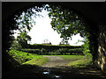 View through disused railway bridge