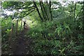 Alternative footpath east of Acres Hall, Pudsey