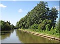 Grand Union Canal: Reach in Woodloes Park