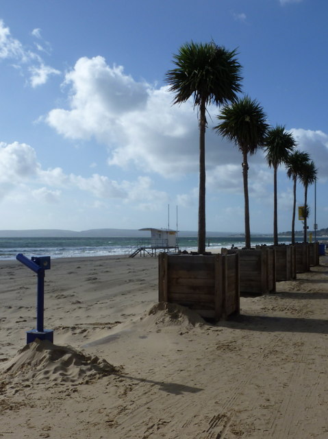 Bournemouth: palm trees by the beach © Chris Downer :: Geograph Britain