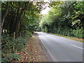 High Beeches Lane