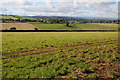 Farmland and English Bicknor