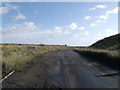 Ash track into West Tilbury Marshes