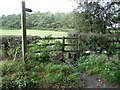 Footpath through a stream