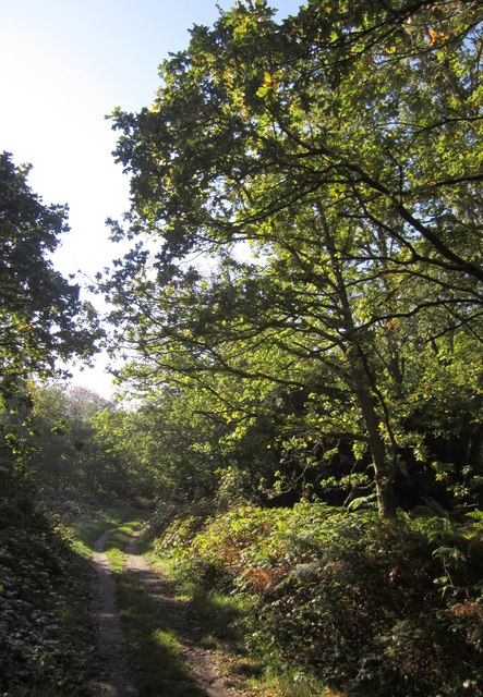 Path on Putney Heath