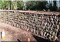 Wall at Holnicote estate