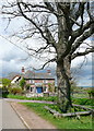 House and green at Bryngwyn