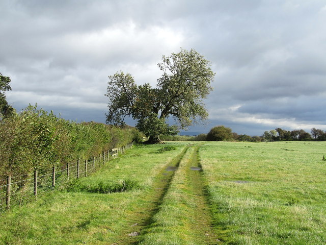 Track leading to Round Hill