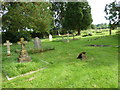 A brief visit to Sturminster Newton Cemetery  (VI)