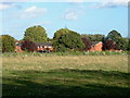 Fields near Laleham