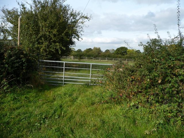 Gate into field, north side of Hanbury Road