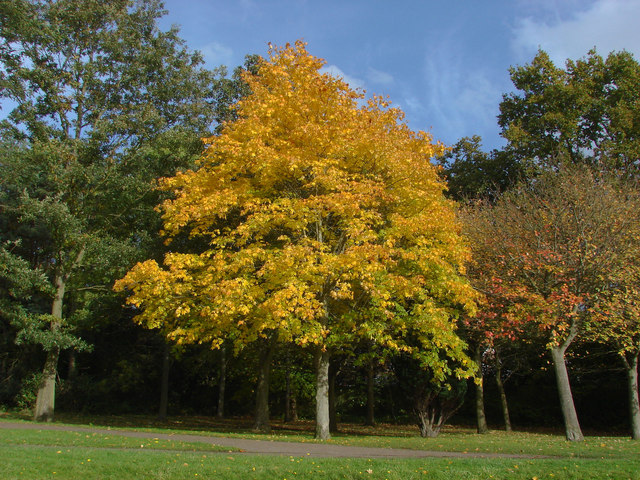 Goldsworth Park recreation ground © Alan Hunt :: Geograph Britain and ...