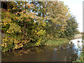 Autumn colours along the Montgomery Canal