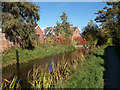 Montgomery Canal north of Mill Lane bridge