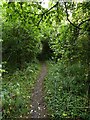 Footpath to Drayton Beauchamp from Icknield Way