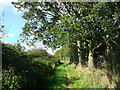 Footpath to East Tilbury