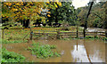 Flood near Moreland