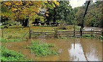 J3369 : Flood near Moreland's Meadow, Belfast by Albert Bridge