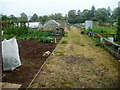 ST3390 : Cold Bath Road allotments, Caerleon by Jaggery