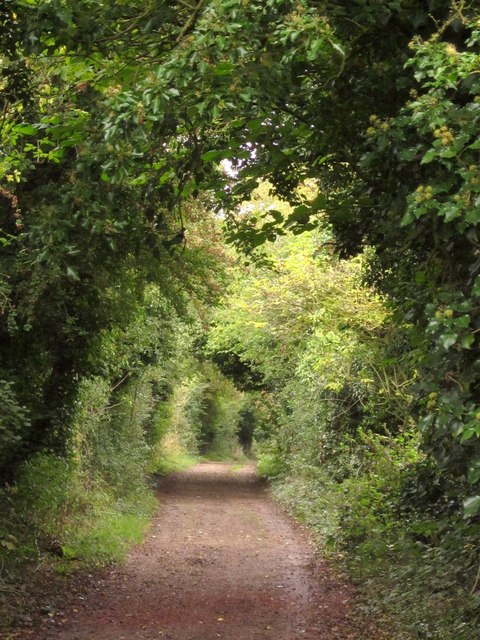 Harrow Way north of Overton © Derek Harper :: Geograph Britain and Ireland