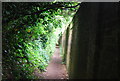 Footpath to Shere