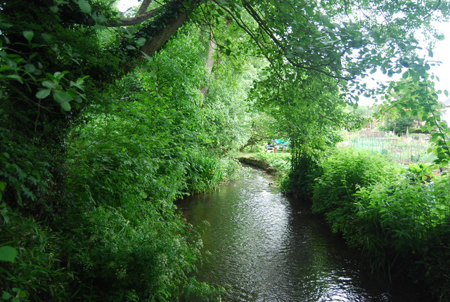 River Tillingbourne N Chadwick Cc By Sa 2 0 Geograph Britain And   3184954 Cb45e851 