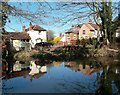 Lower Millpond. Ewell